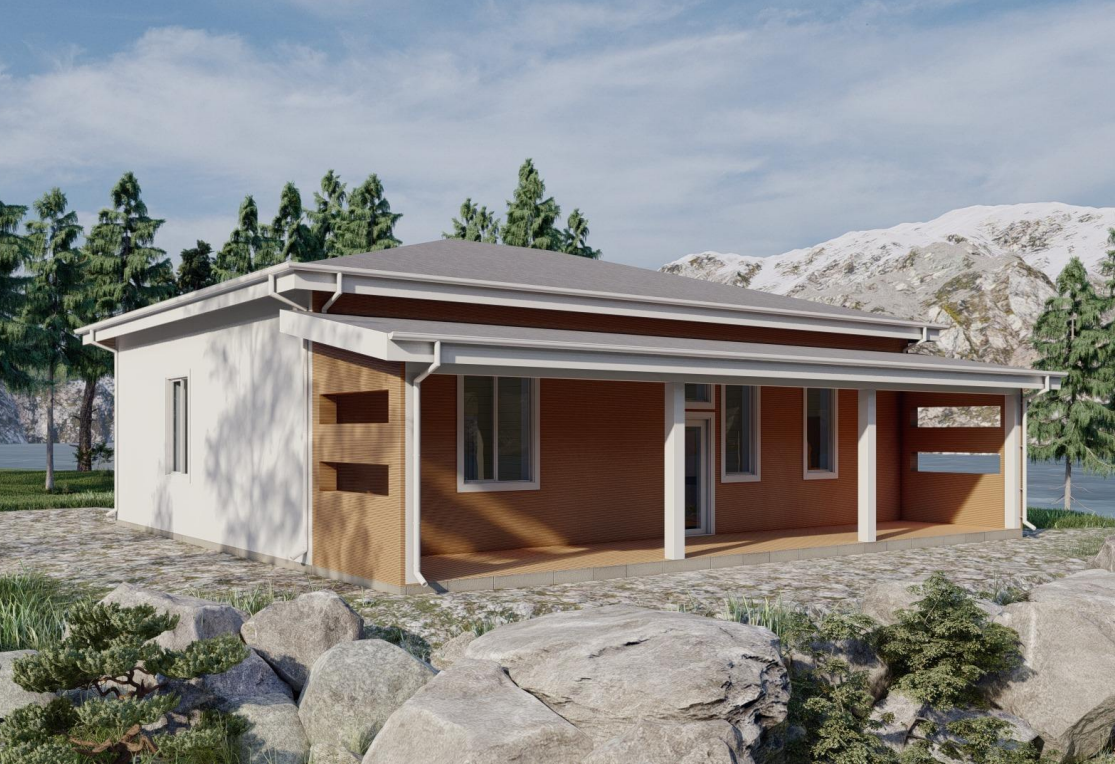 Проект Загородного, одноэтажного дома 2,9х13,5-167 м²