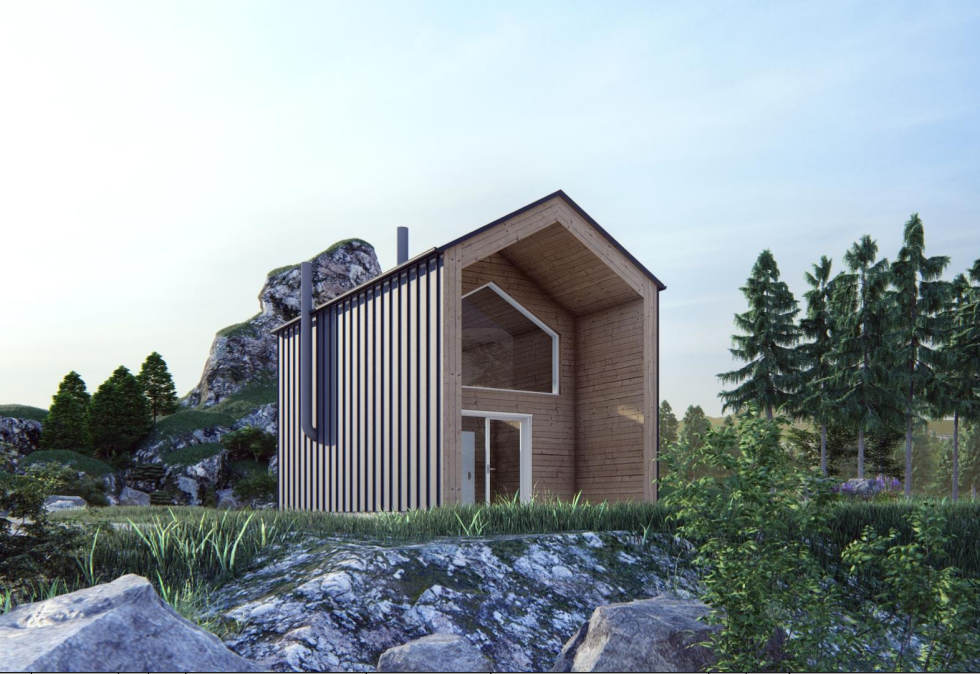 Проект Небольшого загородного дома 4,6х11,1-63 м²